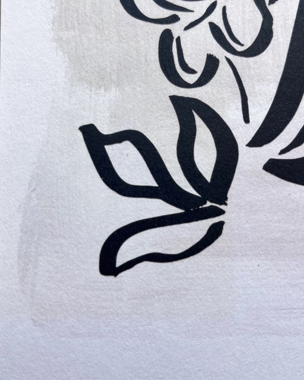 Close-up of perlino cotton paper